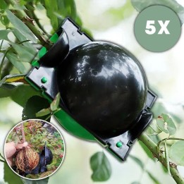 Form för Växtförökning – Rotningslåda för Plantproduktion - Price: €10 - 